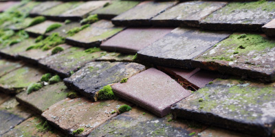 Blakeney roof repair costs
